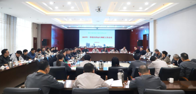 2138cn太阳集团城召开2025年一季度经济运行调度工作会议