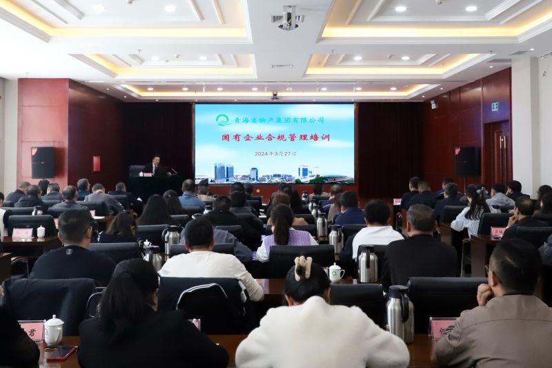 2138cn太阳集团城组织开展国有企业合规管理培训