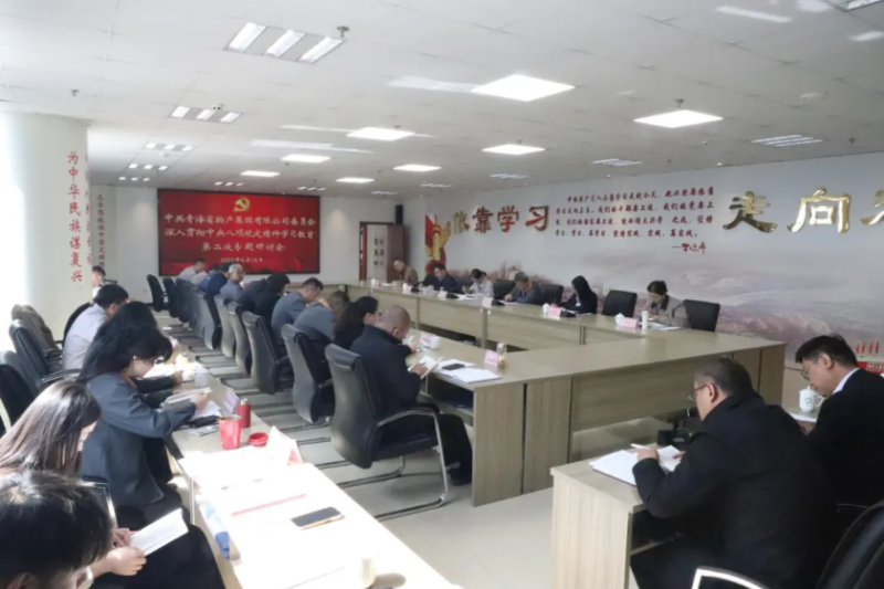 2138cn太阳集团城党委召开深入贯彻中央八项规定精神学习教育第二次专题研讨会