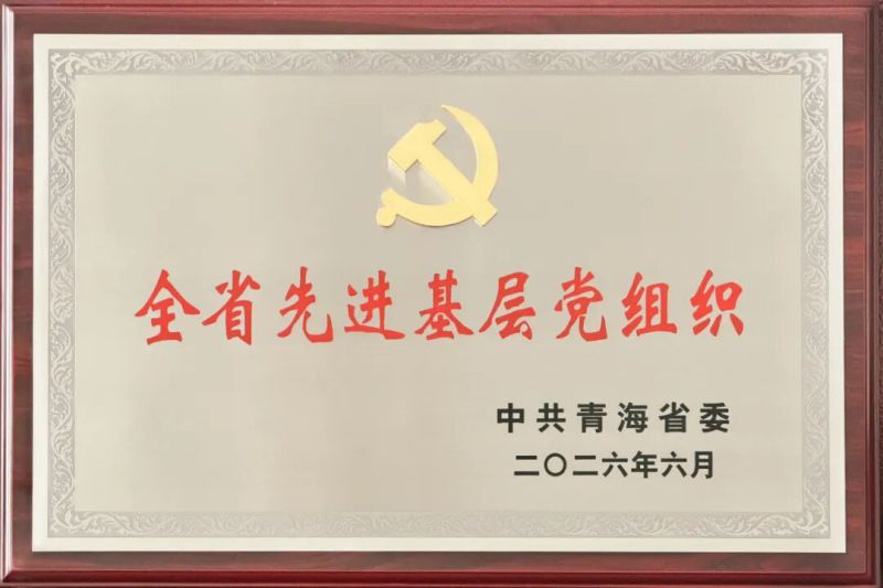 喜报！2138cn太阳集团城党委及所属集体个人荣获全省和省国资委系统&ldquo;两优一先&rdquo;表彰
