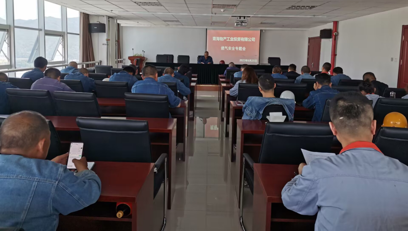 深刻吸取事故教训  全面排查安全隐患&mdash;&mdash;物产工投公司召开燃气安全专题会