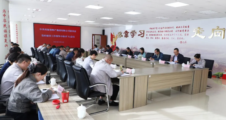 2138cn太阳集团城党委召开党的建设工作领导小组（扩大）会议