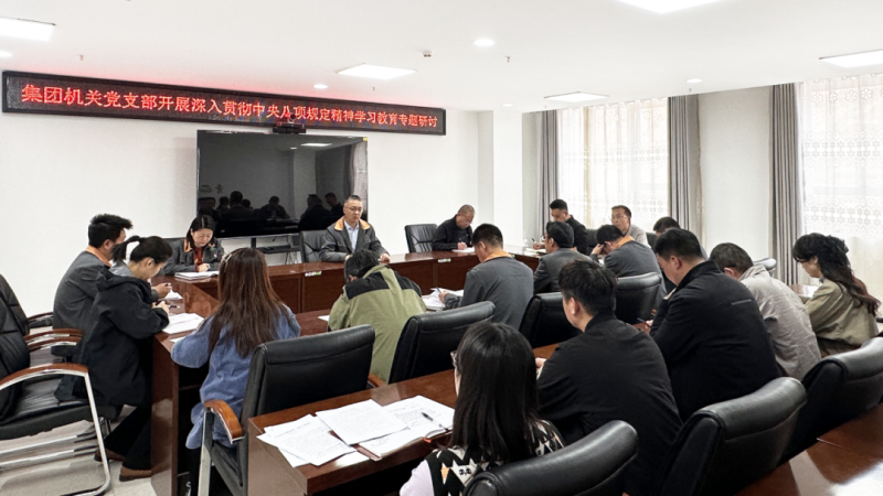 集团机关党支部开展深入贯彻中央八项规定精神学习教育专题研讨