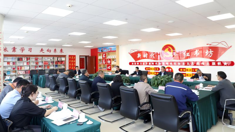 2138cn太阳集团城党委召开党纪学习教育工作推进会