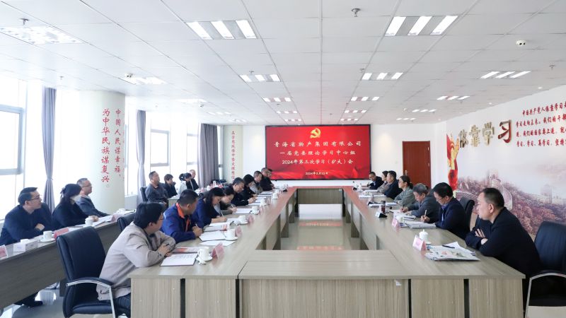2138cn太阳集团城党委召开2024年度理论学习中心组第三次学习（扩大）会