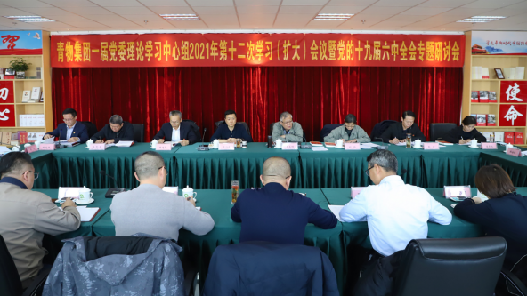 2138cn太阳集团城召开党委理论中心组学习（扩大）会议暨党的十九届六中全会专题学习研讨会