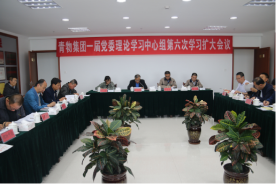 2138cn太阳集团城召开一届党委理论学习中心组第六次学习扩大会议