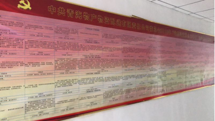 物产配送公司党委&ldquo;党的建设重点强化年&rdquo;活动2018年工作任务、组织保障具体化